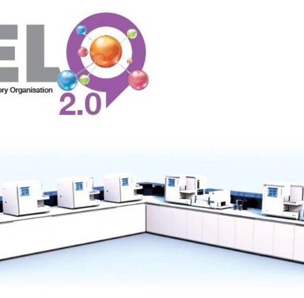 HELO 2.0